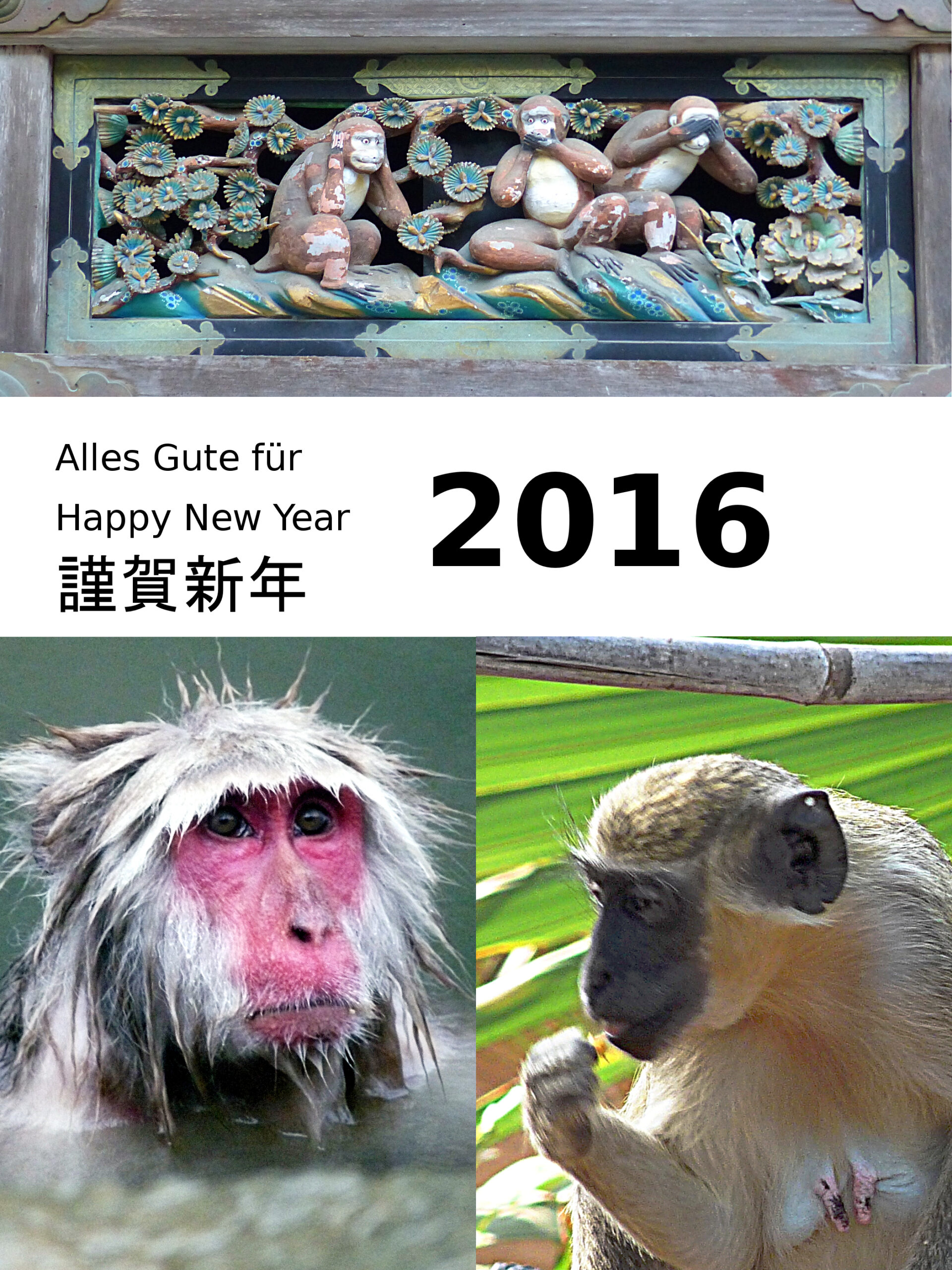Happy 2016 card with monkeys