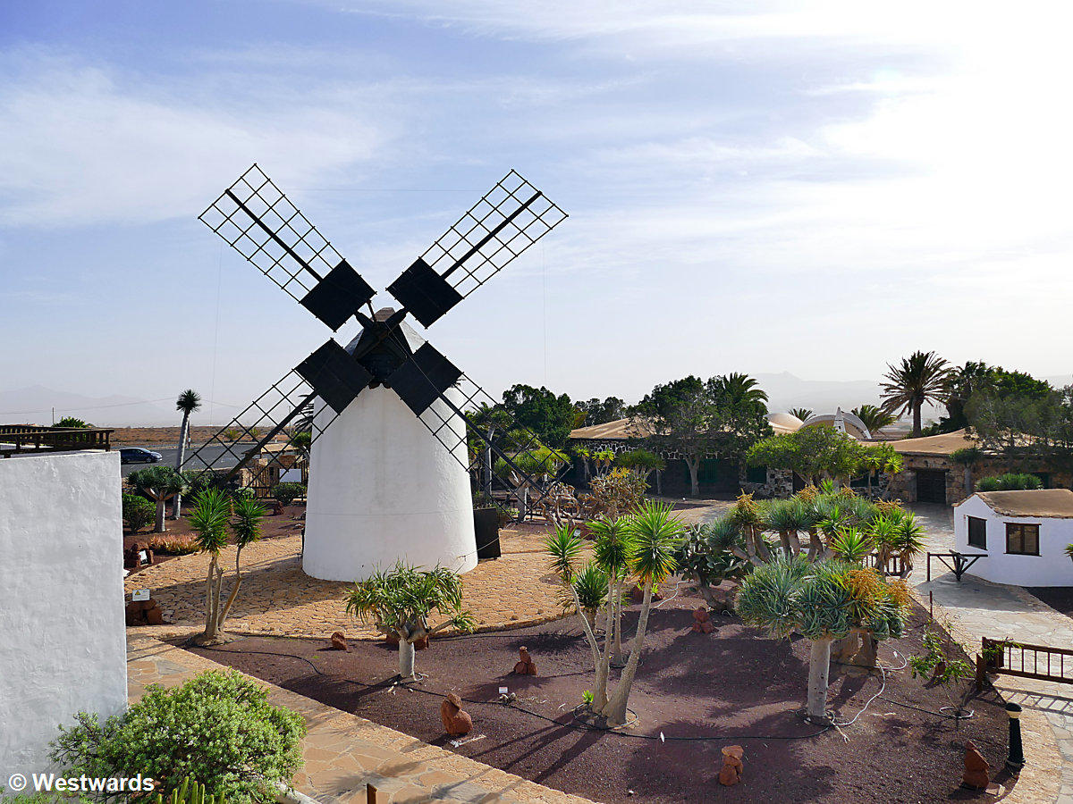 Windmill on Fuerteventura