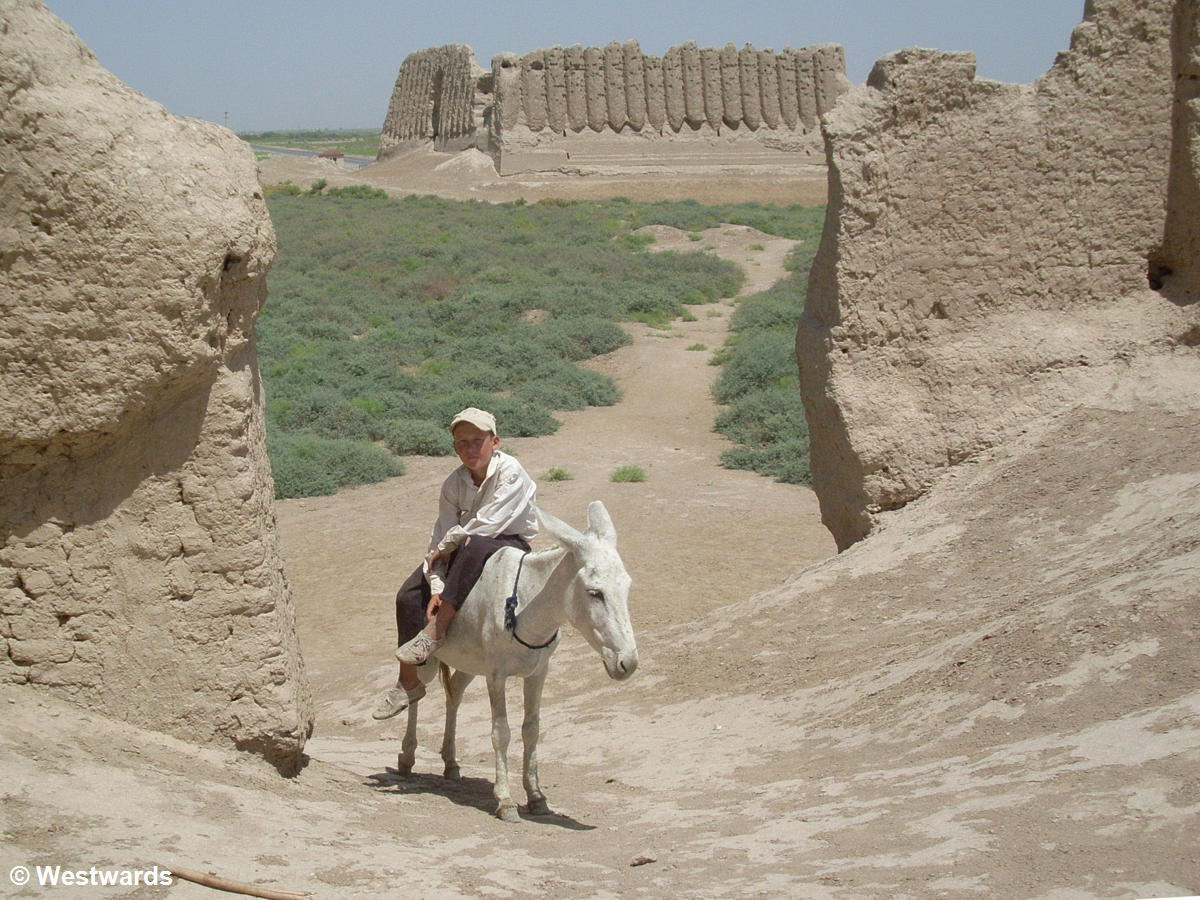 Boy on a donkey in ancient Merv Silk Road ruins