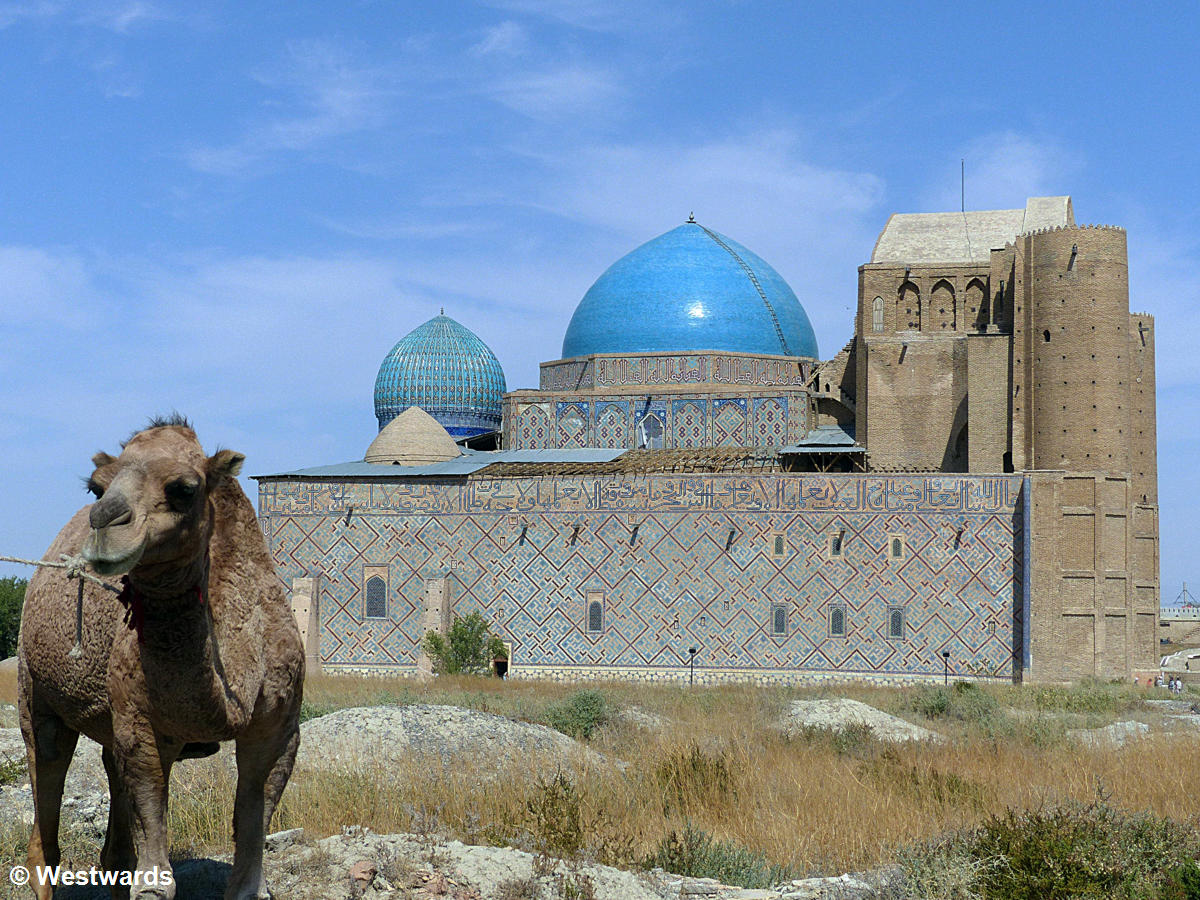 A camel in front of the Mausoleum of Ahmed Yassawi