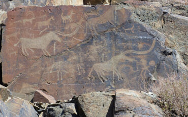 Animal petroglyphs
