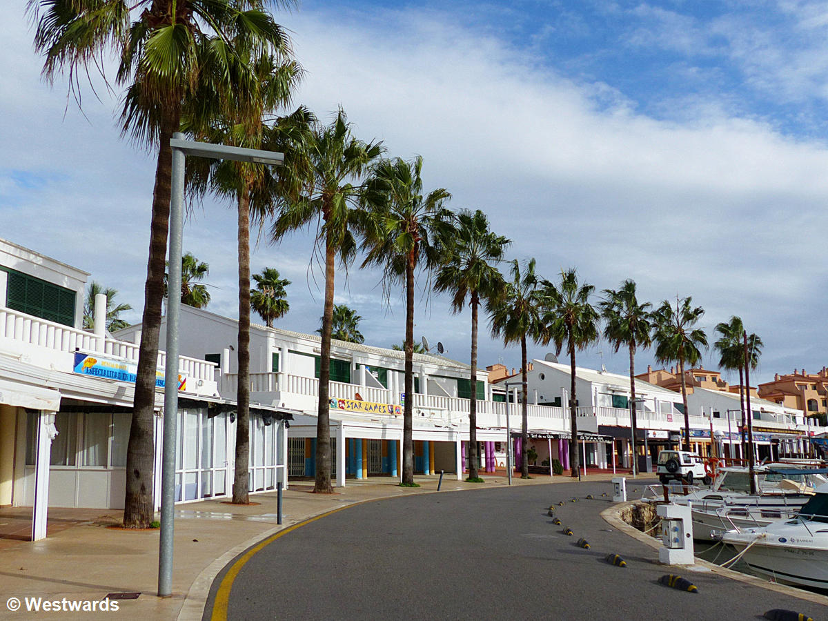 Harborfront fringed with palm trees