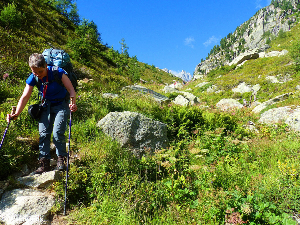 woman hiking in the Swiss alps