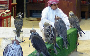 Boy at the falcon bazar in Doha