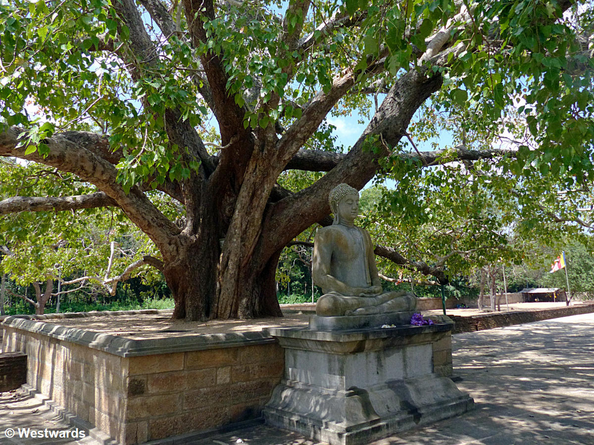 20160128 Anuradhapura Abhayagiri Dagoba Buddha  P1230842