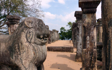 Columns and a lion statue