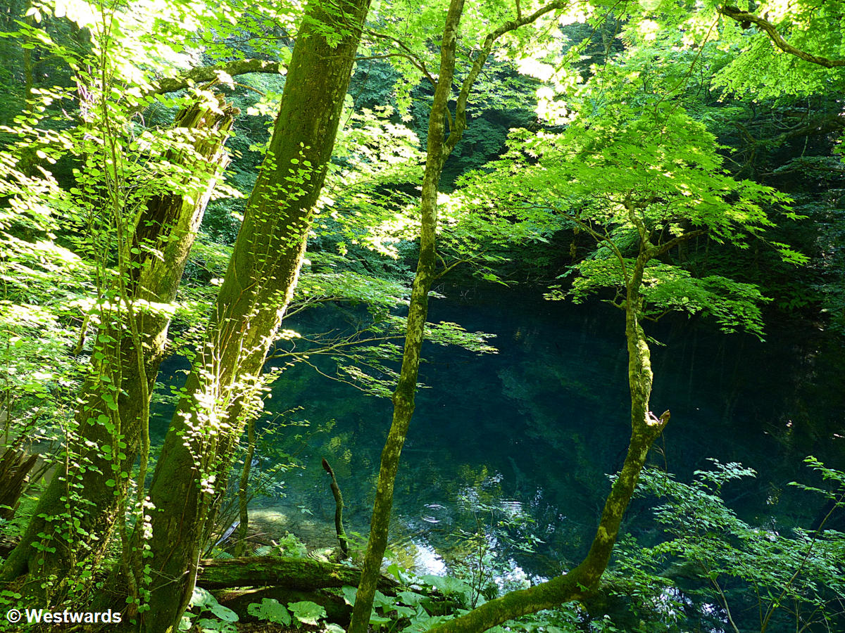 Juniko - one of the twelve lakes of Shirakami Sanchi beech forest