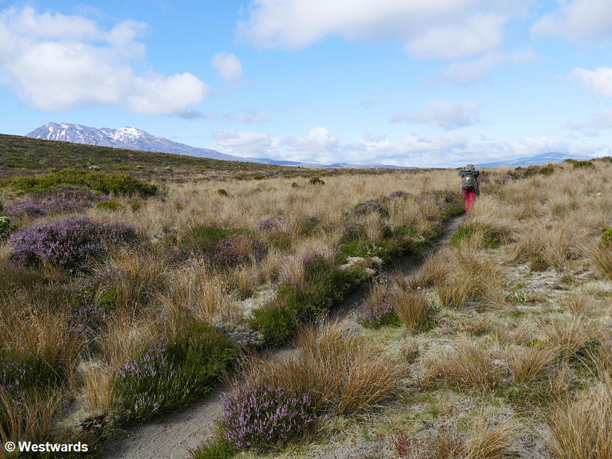 Hiking from Mangatepopo Hut to Whakapapa Village in Tongariro National Park