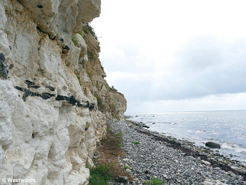 Below the cliffs of Stevns Klint