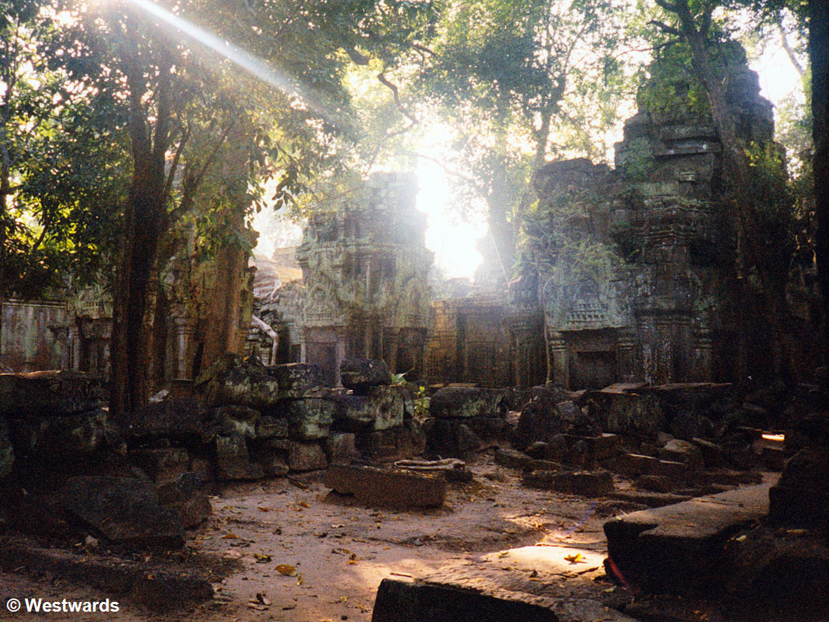 Overgrown temple Ta Prohm of Angkor Wat in 2001, empty at noon