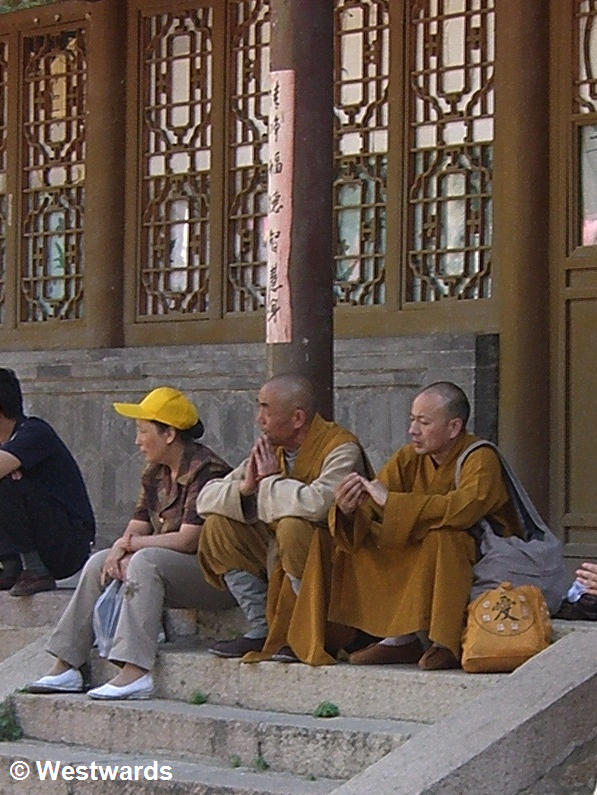 Yellow-robed monks sitting on steps