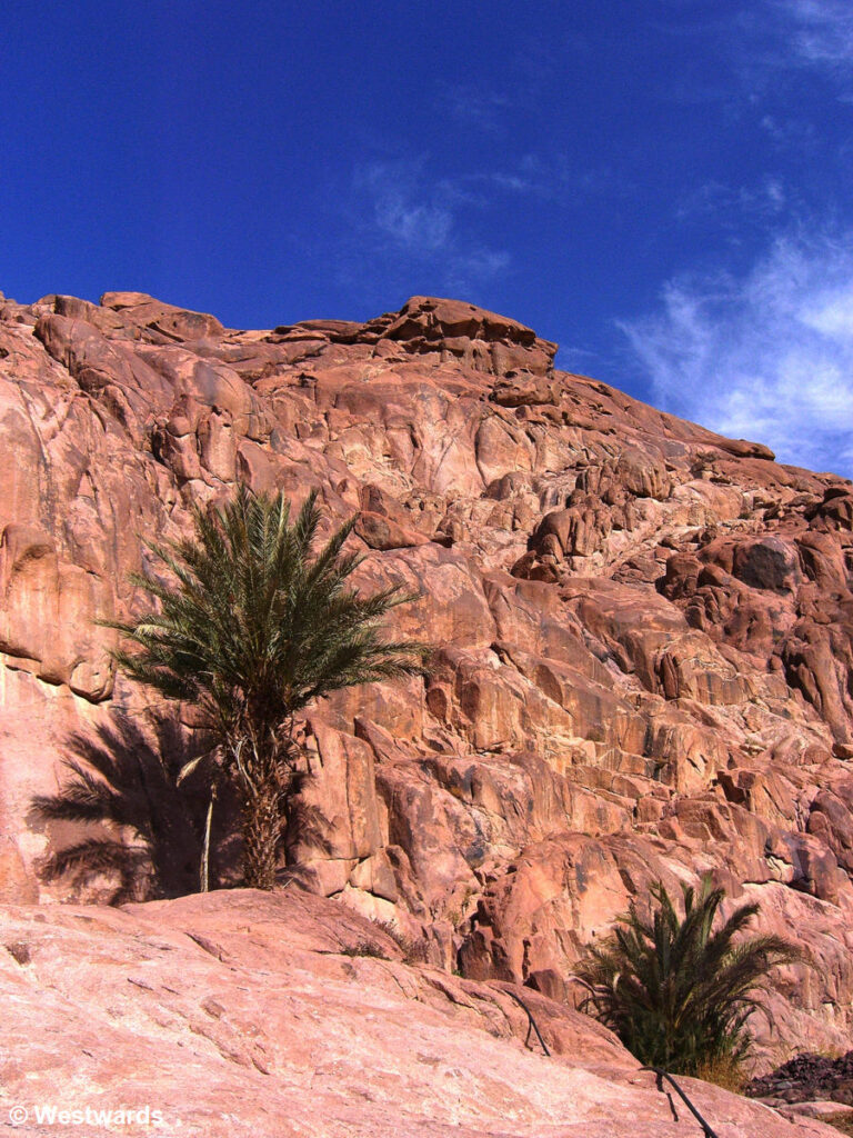 20070311 Sinai Trekking3