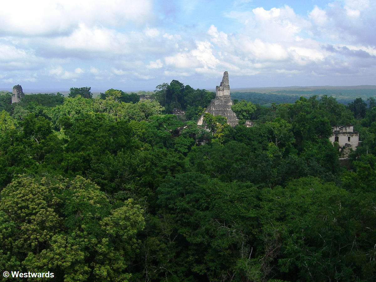 20071129 Tikal view from temploV 1568