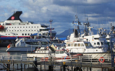 Ushuaia harbour with visiting cruise ships