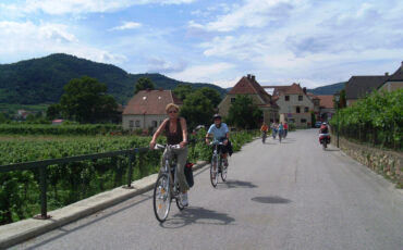 cyclist on the Danube cycling trail
