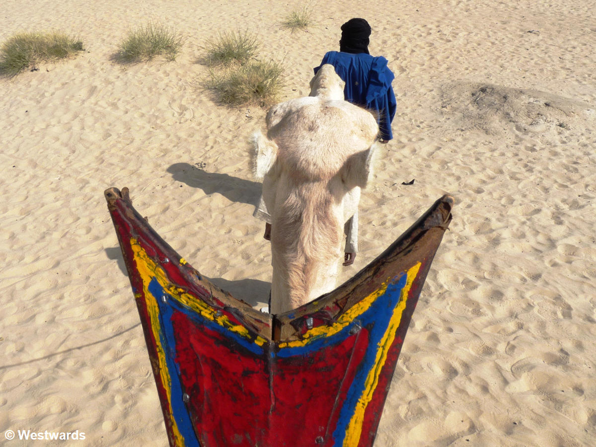 20090105 Timbuktu camel ride 1030015