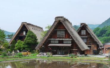 Houses with steep reed roofs