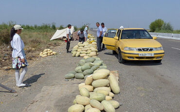 Taxi passengers buying melons at the street