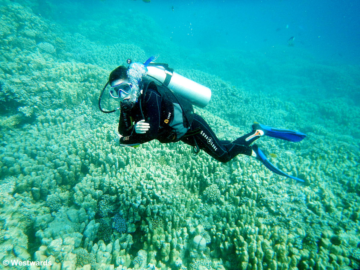 Isa underwater, as an unsteady diver