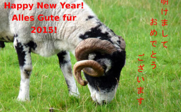 2015 New year's card with sheep