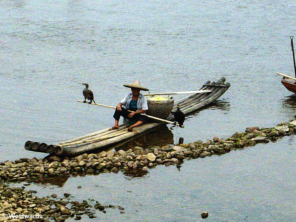 Cormorant fishing on the Li River, Yangshuo