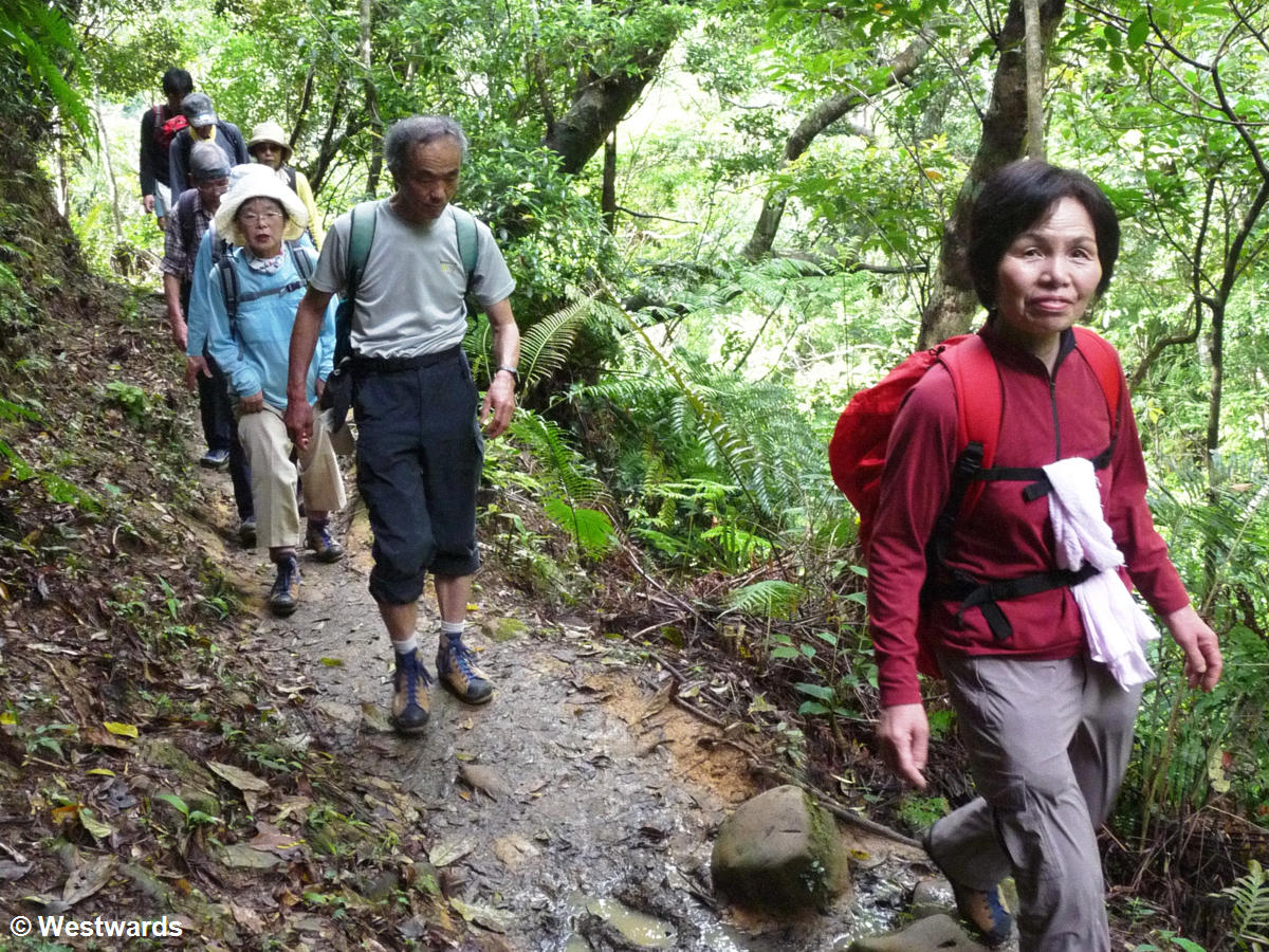 Japanese hikers on a jungle path