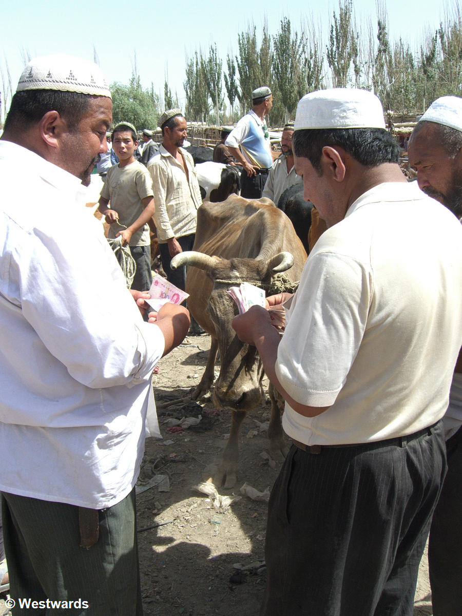 Uighurs selling a cow in Hotan