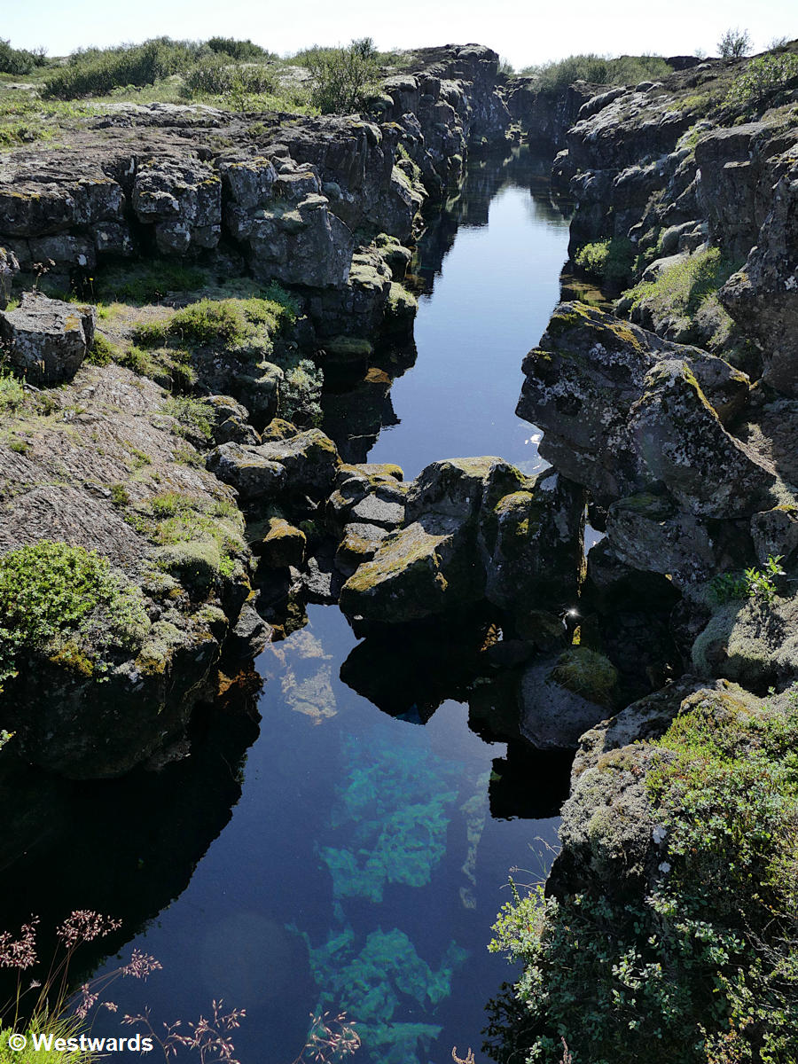 A tectonic fissure in Thingvellir