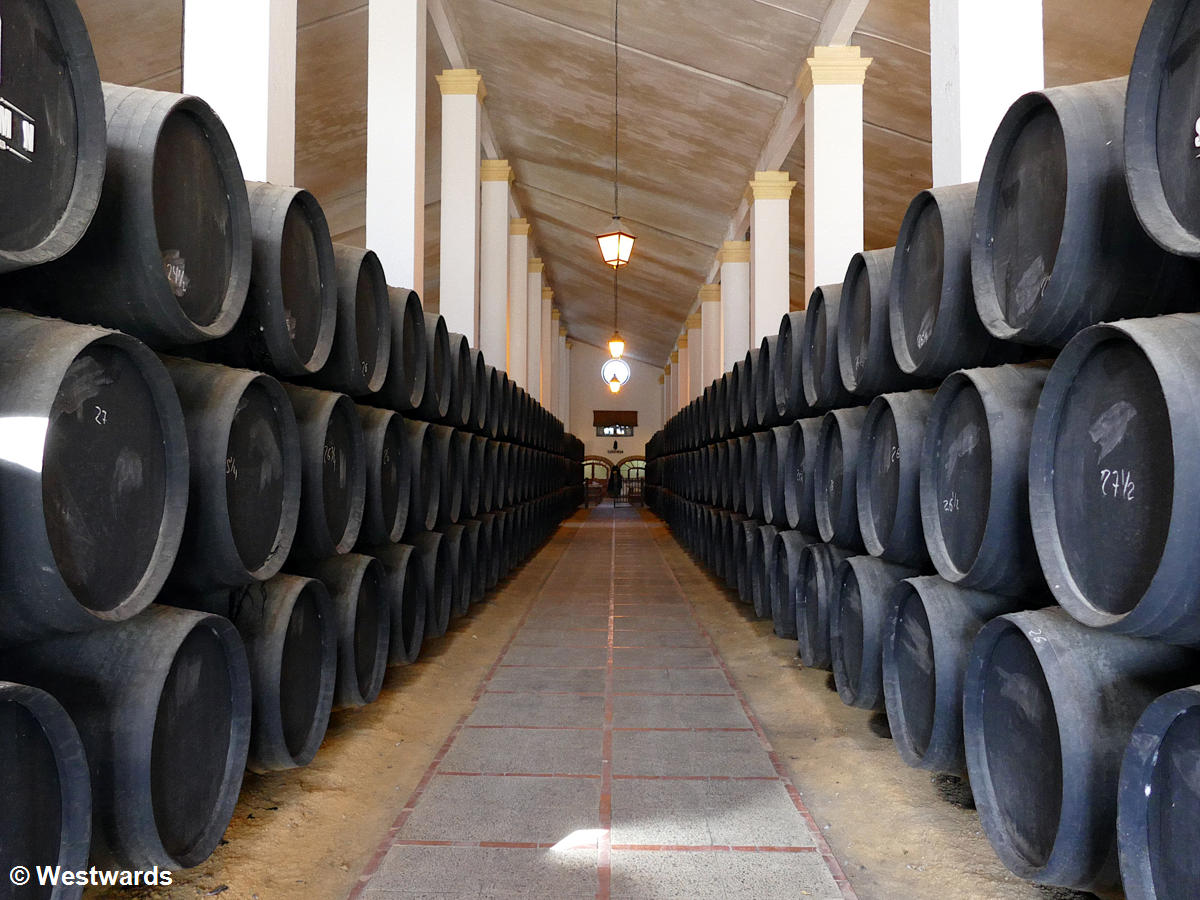 Solera barrels at Bodega Sandeman in Jerez