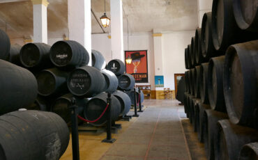 Barrels and tourist infrastructure in the Sandeman Bodega