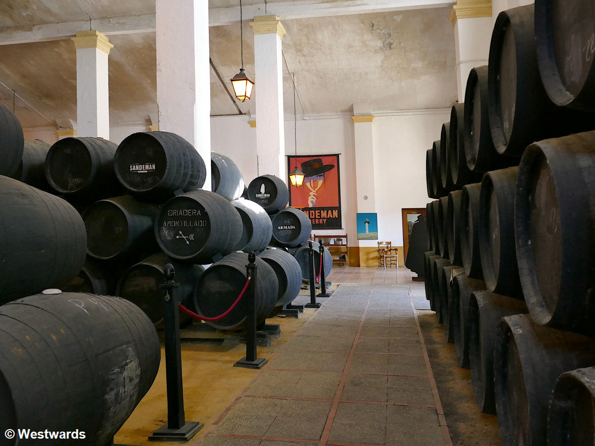 Barrels and tourist infrastructure in the Sandeman Bodega
