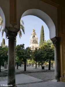 In the orange courtyard of the Mezquita