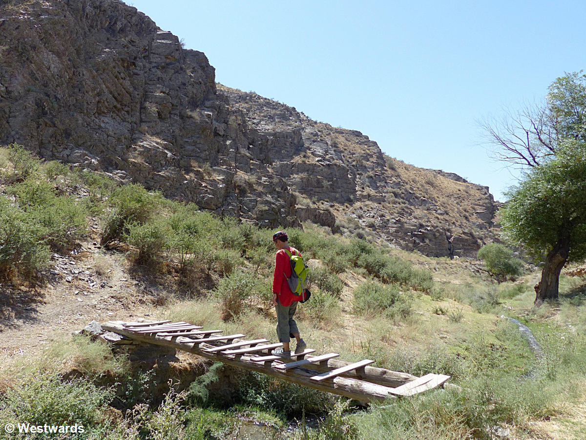 Seeking petroglyphs in Central Asia (here in Sarmish Say), we often have to hike