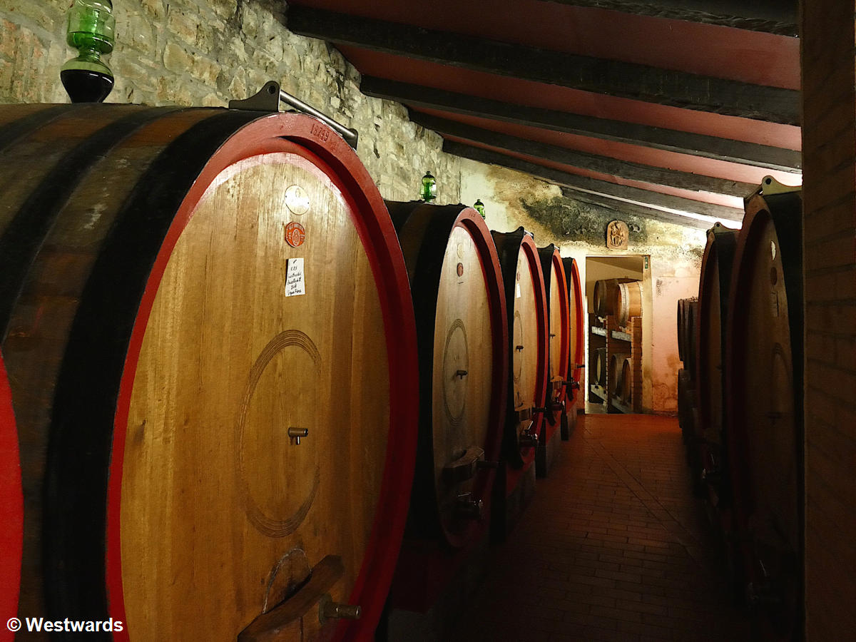 in the Brunello wine cellars of the Fattoria dei Barbi