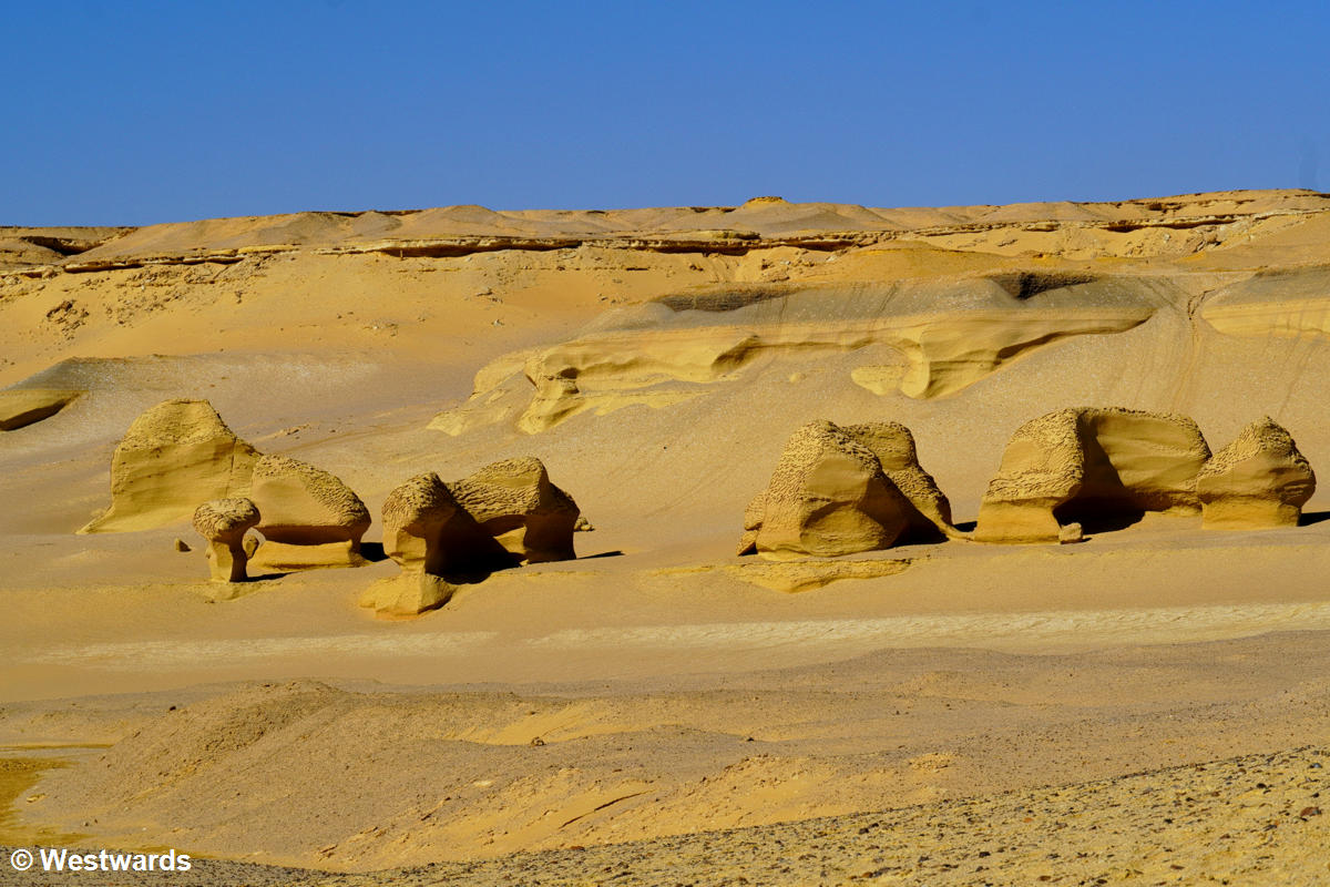 Fantastically shaped rocks in the Wadi al-Hitan