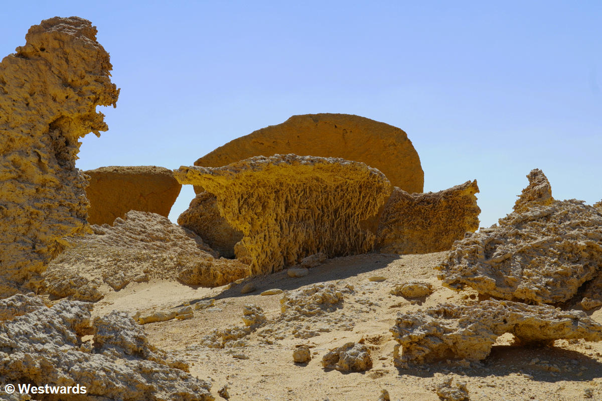 Petrified corals in the Wadi al-Hitan