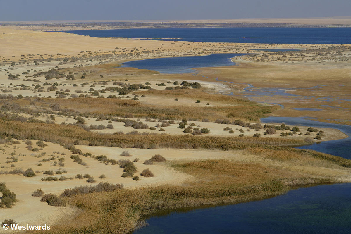 The Wadi al Rayan salt lakes make a good additional stop on a visit to Wadi Al-Hitan