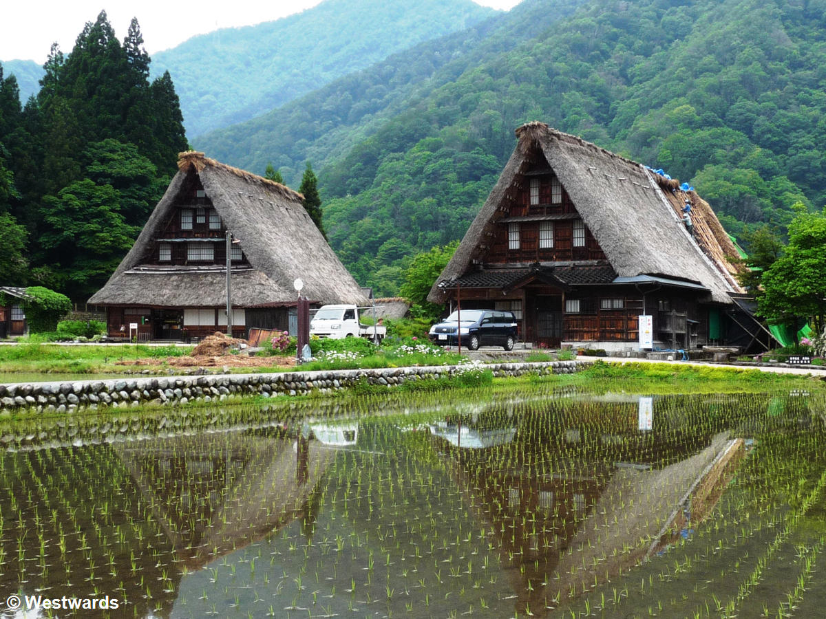 Traditional thatched houses in the Shirakawa-Gokayama UNESCO World Heritage site in Japan