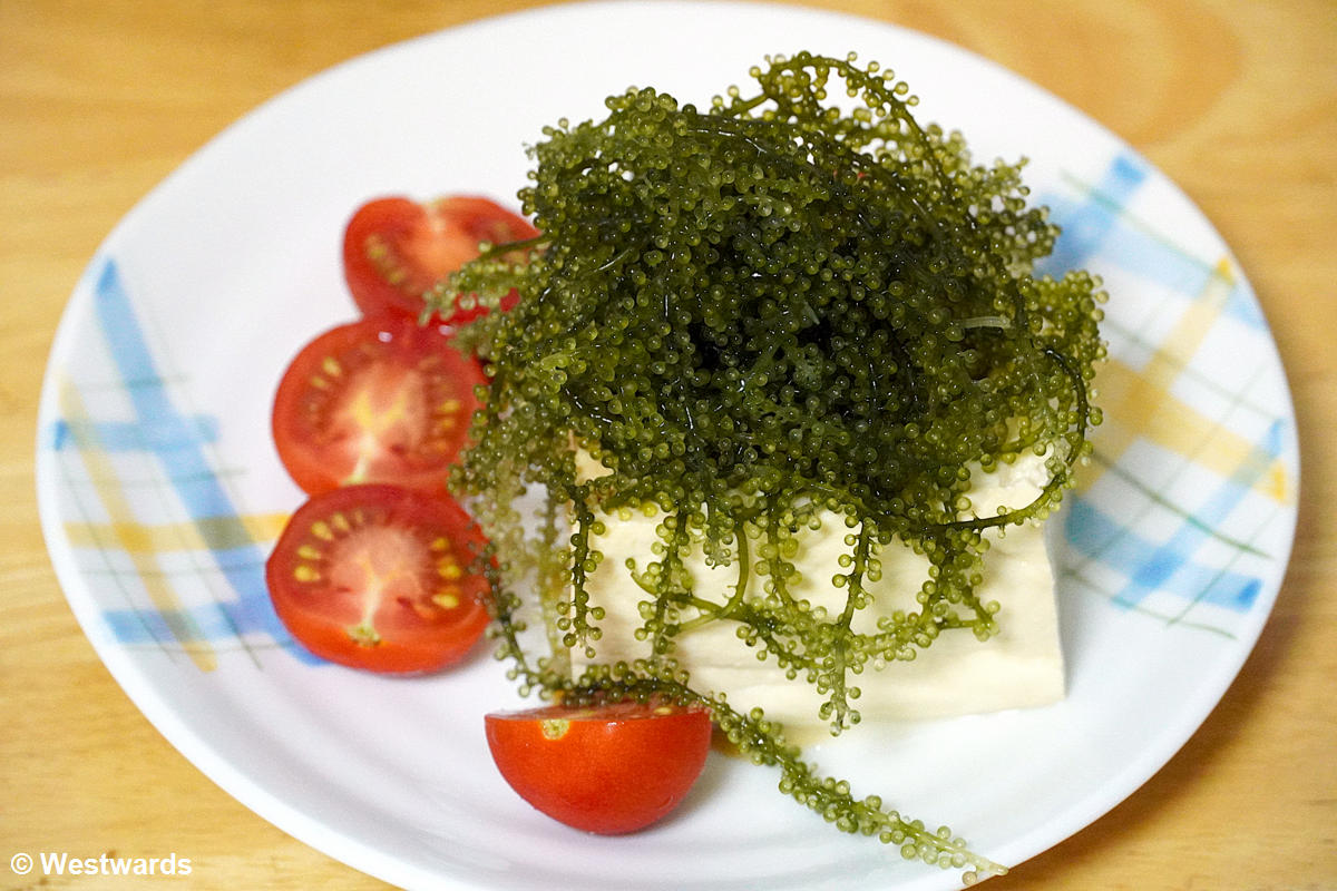 Great vegetarian food in Okinawa: Umibudou and shima tofu!