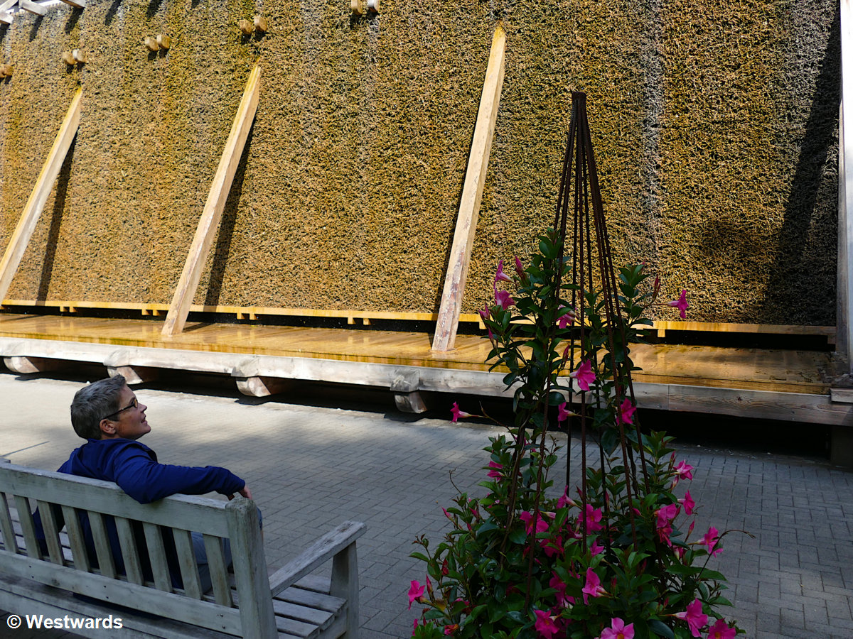 Gradierwerk in Hamm : a spa releasing brine vapour