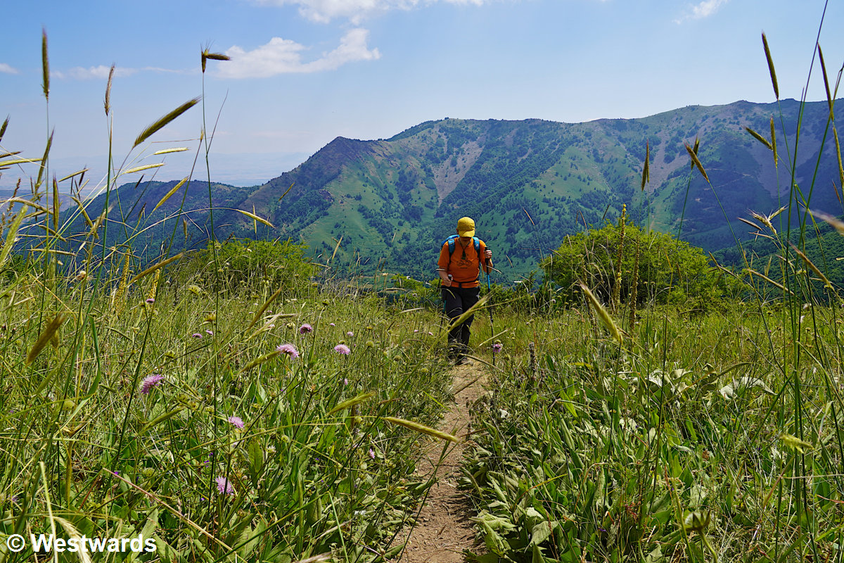 Travel blogger Natascha hiking in Pelister National Park to Golemo Ezero