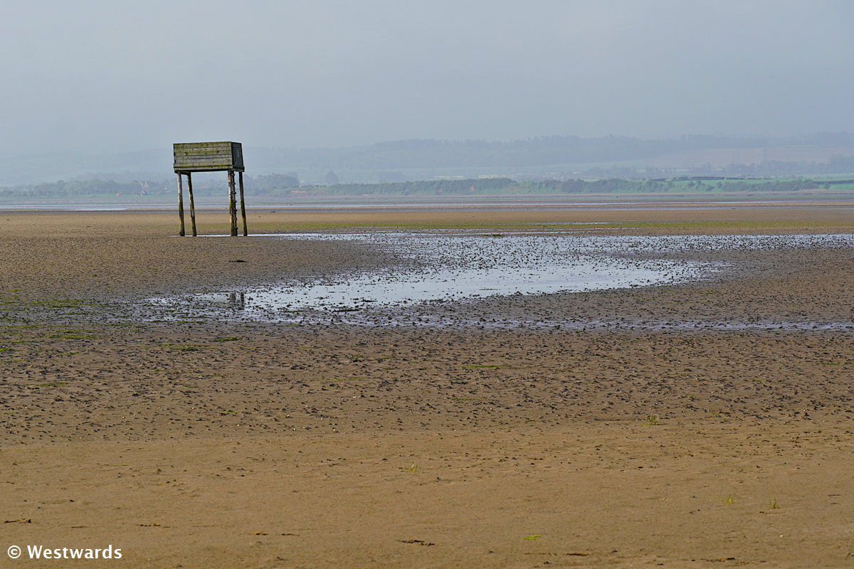 The mudflats stretching towards Lindisfarne Holy Island