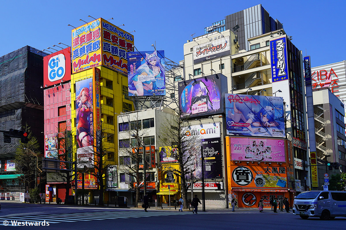 Empty streets and huge billboards on a morning in Akihabara